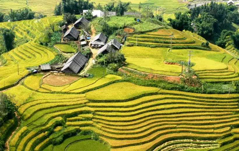 Experience the Essence of Vietnam in 16 Days Trip