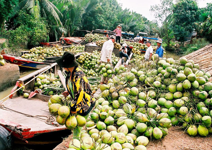 tour-du-lich-ben-tre-h2