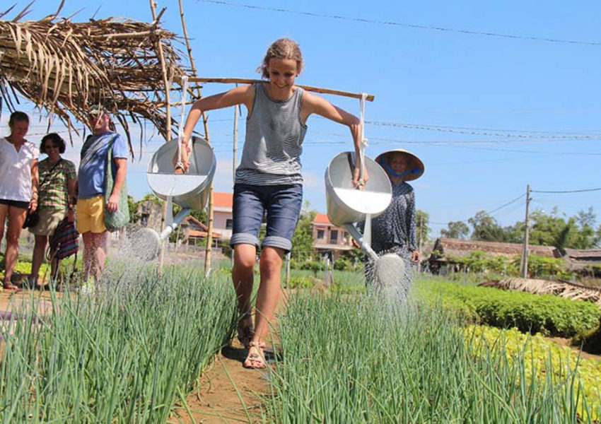 tra-que-vegetable-village-be-farmer